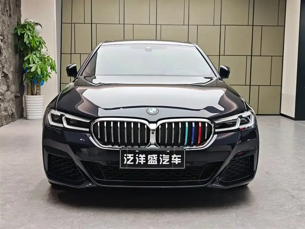 BMW 5 Series (Import) — фото 8