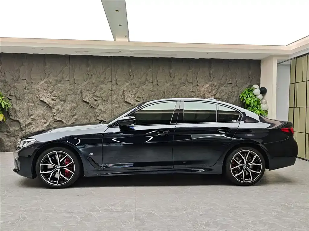 BMW 5 Series (Import) — фото 2