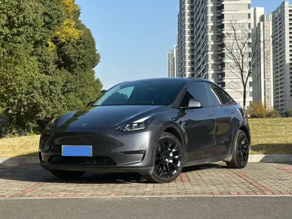 Tesla Model Y — фото 1