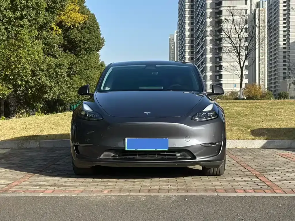 Tesla Model Y — фото 9