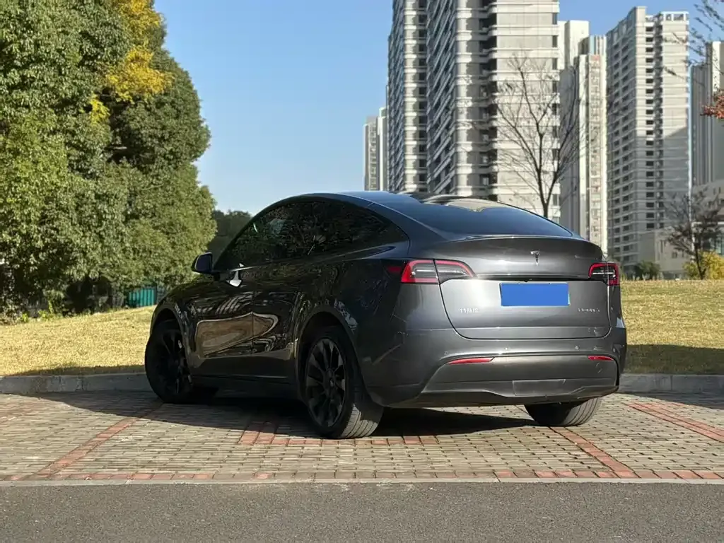Tesla Model Y — фото 5