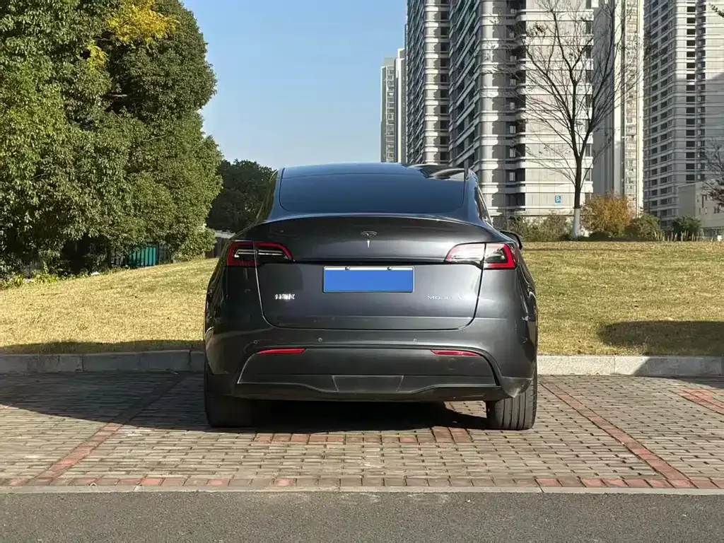 Tesla Model Y — фото 8