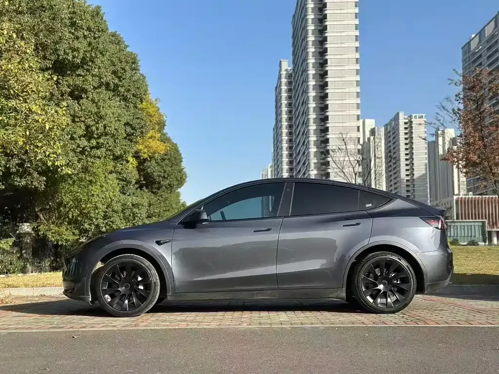 Tesla Model Y — фото 6