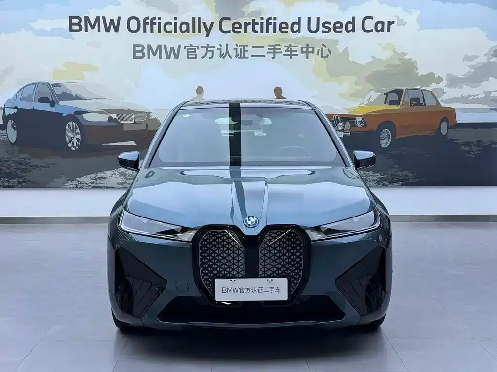 BMW iX — фото 10