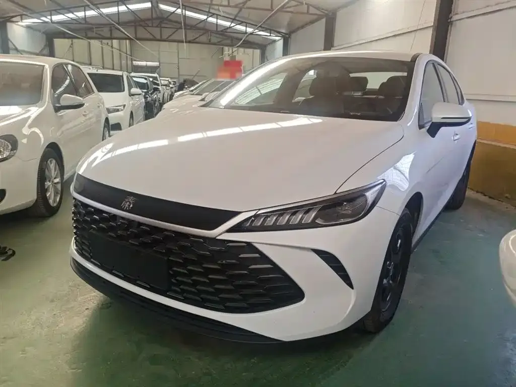 BYD Qin PLUS — фото 1