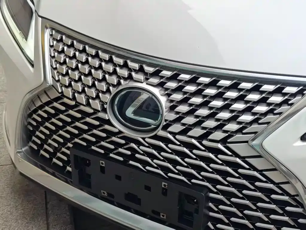 Lexus RX — фото 10
