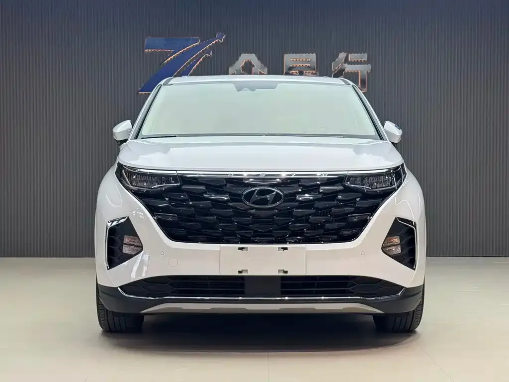 Hyundai Custo — фото 10