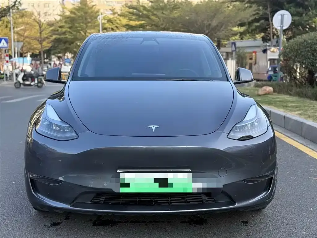 Tesla Model Y — фото 2