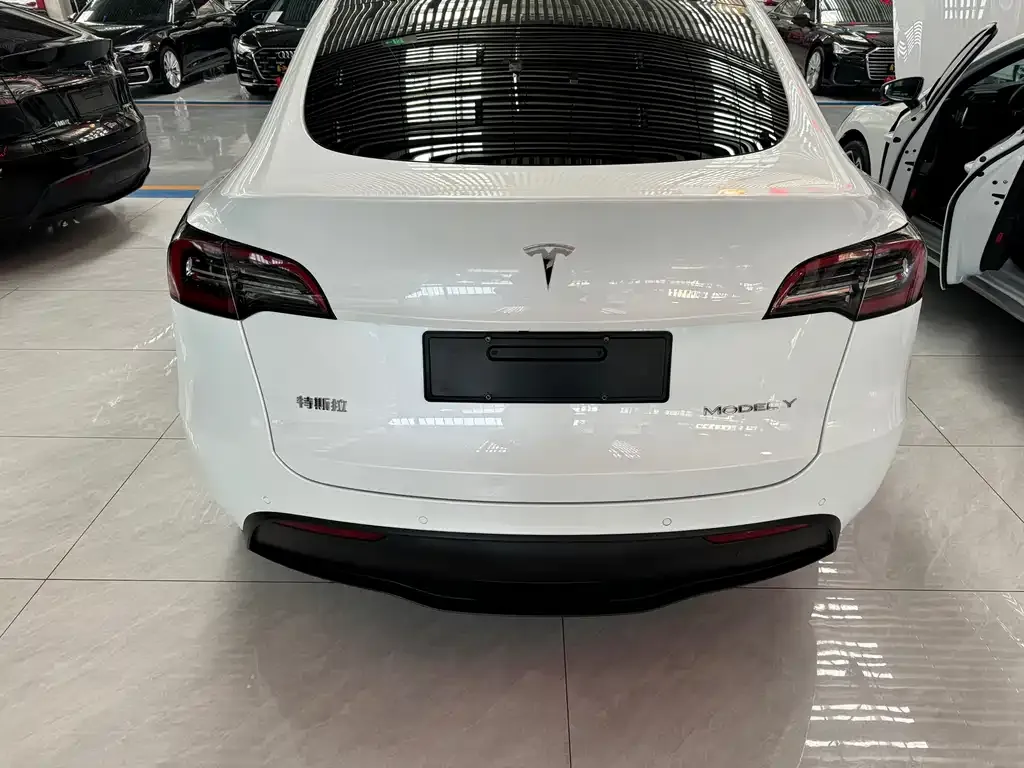 Tesla Model Y — фото 6