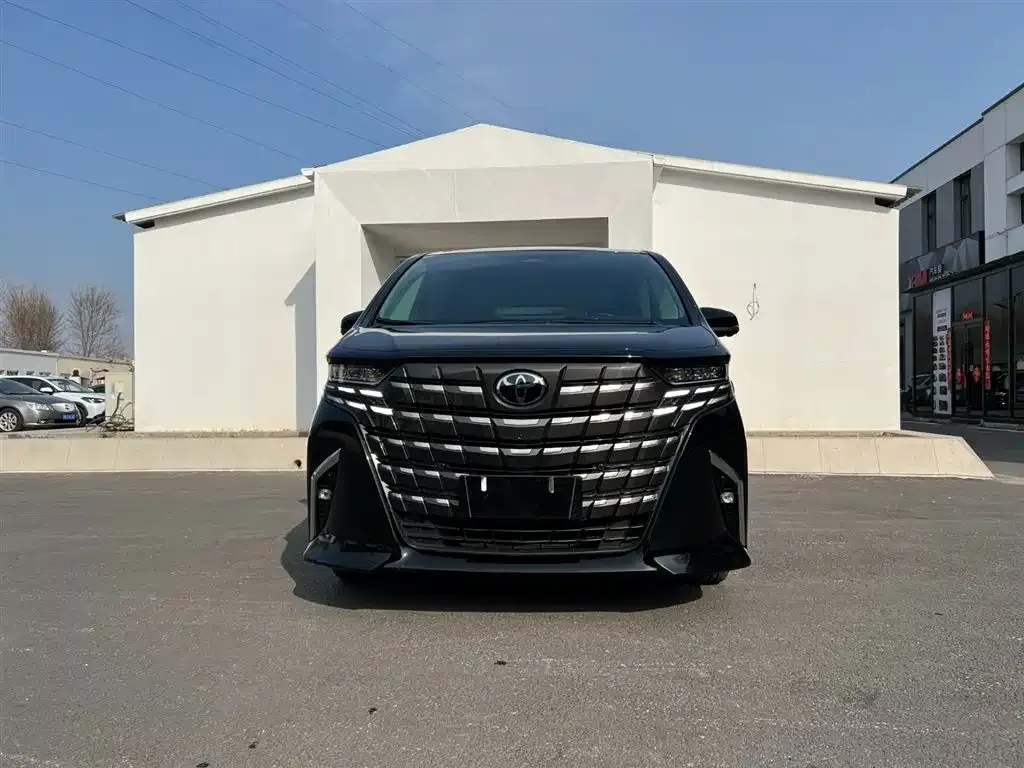 Toyota Alphard — фото 6