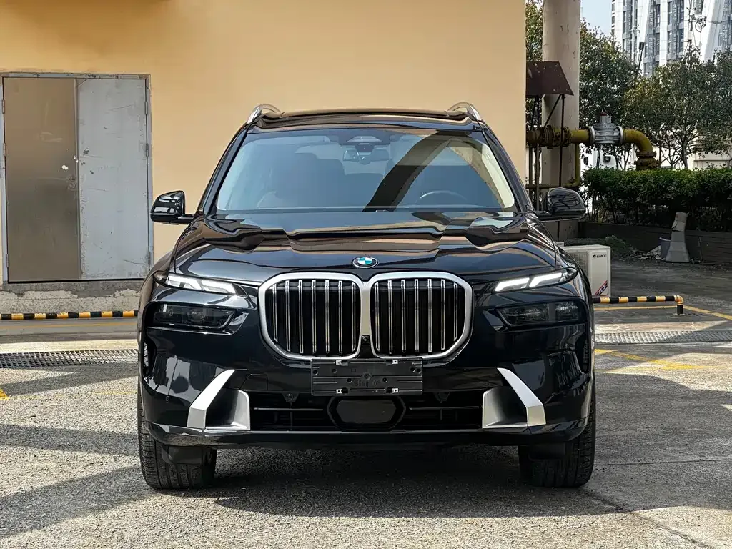 BMW X7 — фото 5