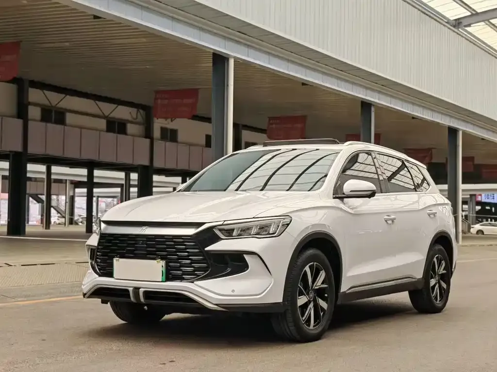 BYD Pro New Energy — фото 1