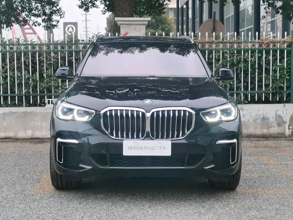 BMW X5 — фото 10