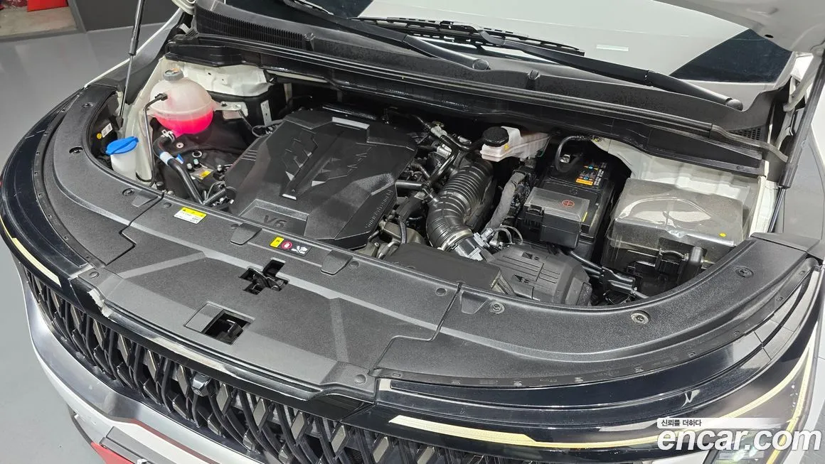 Kia Carnival — фото 10