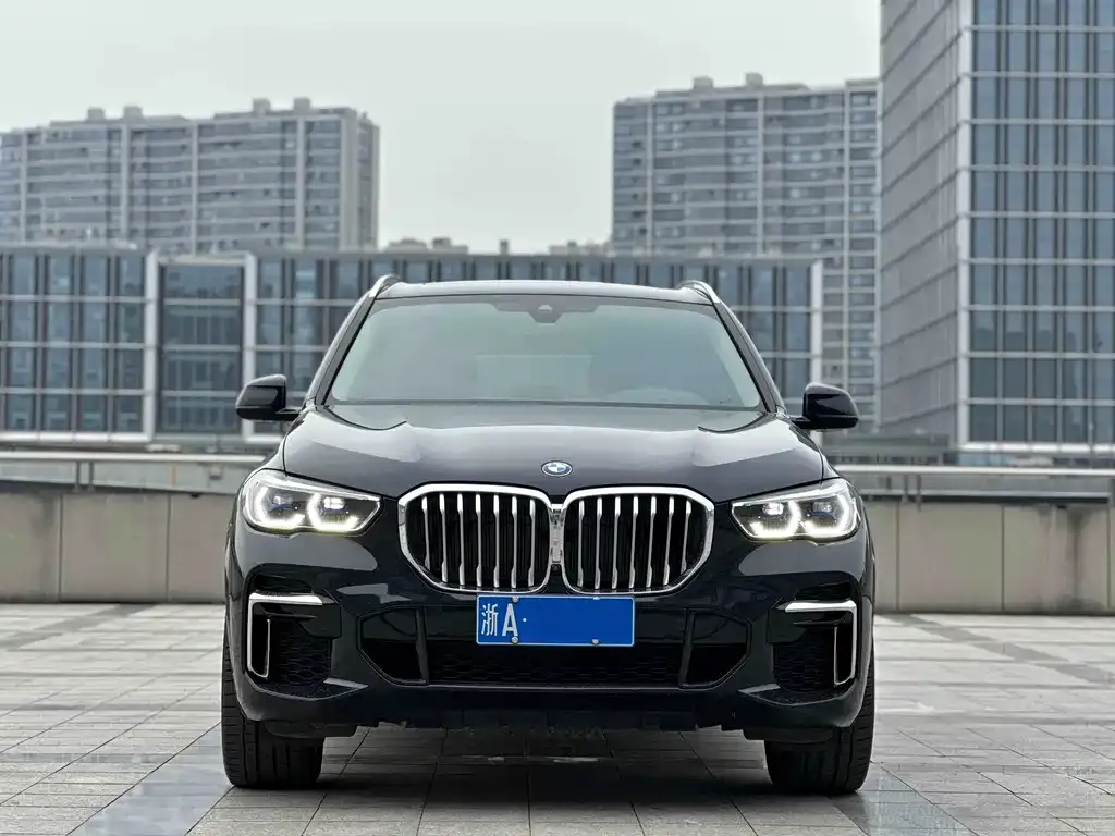 BMW X5 — фото 8