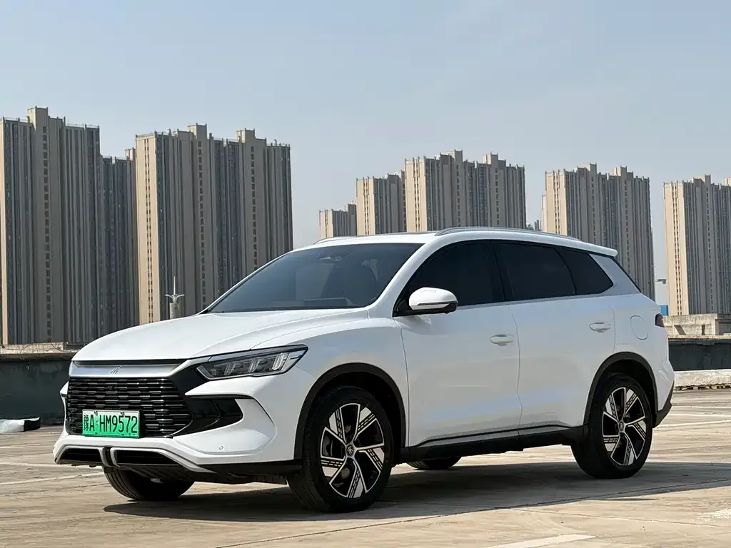BYD Pro New Energy — фото 1