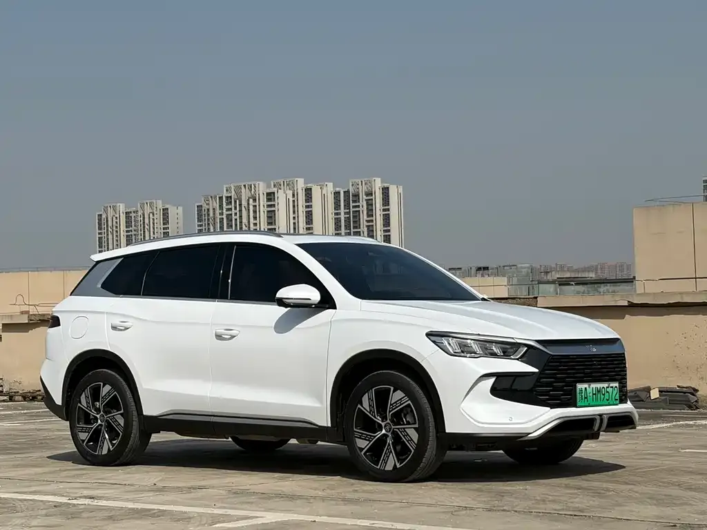 BYD Pro New Energy — фото 3