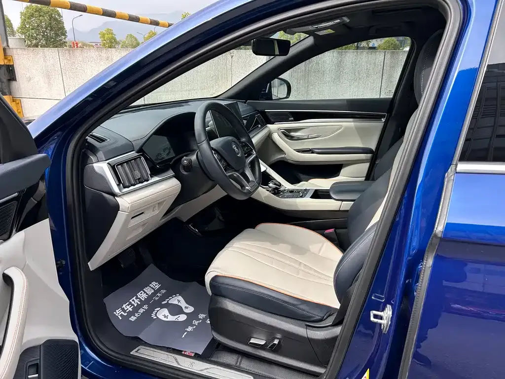 BYD PLUS New Energy — фото 4