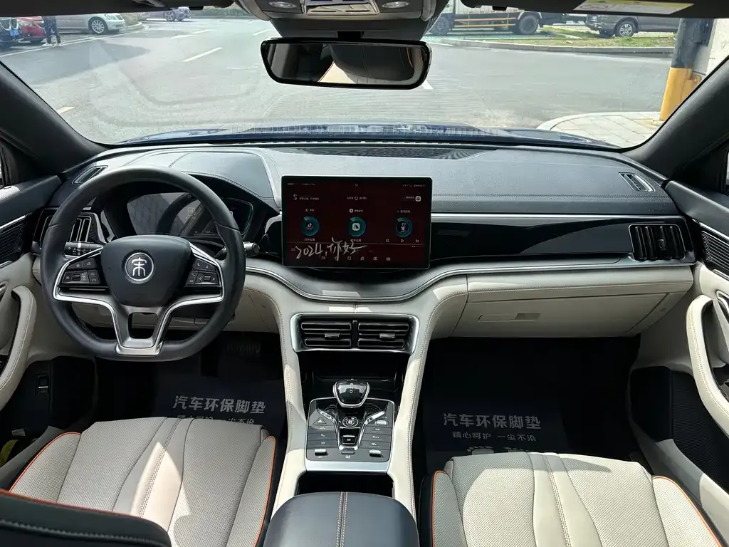 BYD PLUS New Energy — фото 9
