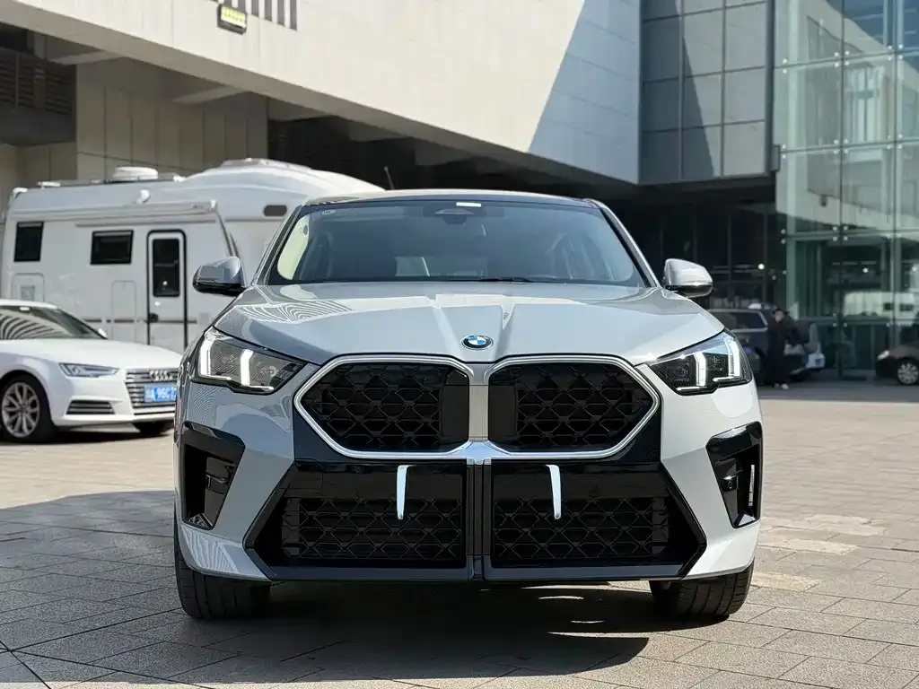 BMW X2 (Import) — фото 10