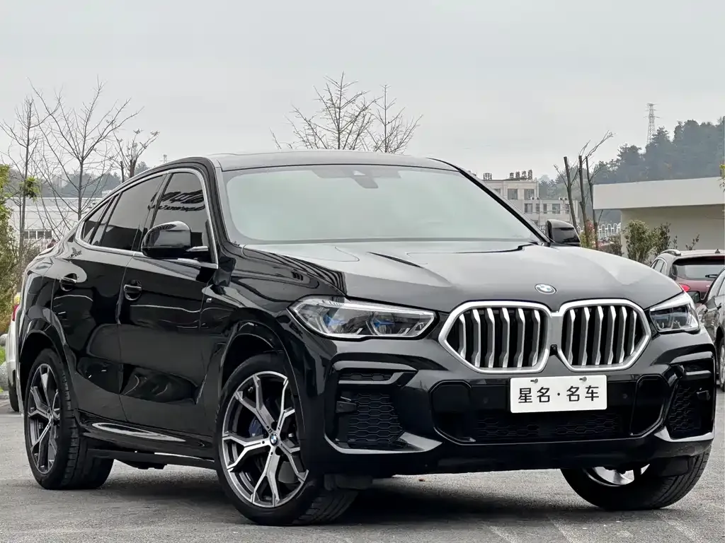 BMW X6 — фото 7