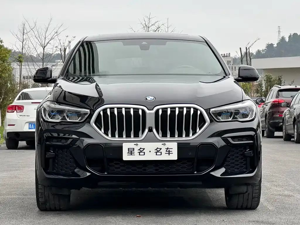 BMW X6 — фото 2