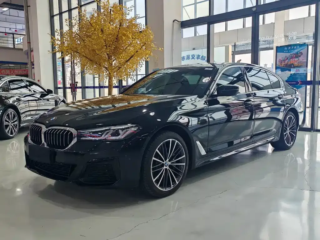 BMW 5 Series — фото 1
