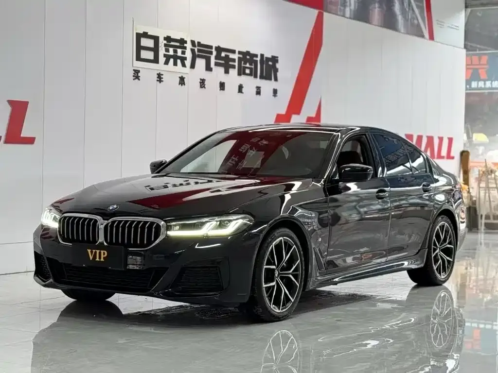BMW 5 Series (Import) — фото 1