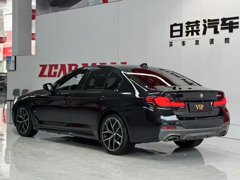 BMW 5 Series (Import) — фото 10