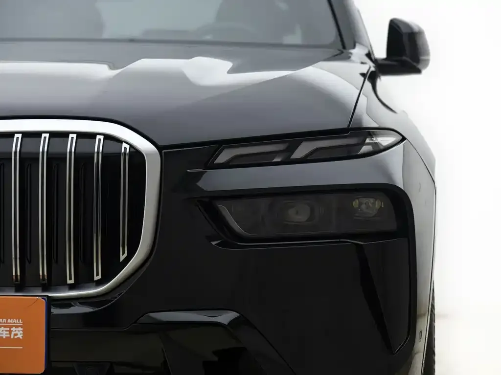 BMW X7 — фото 8