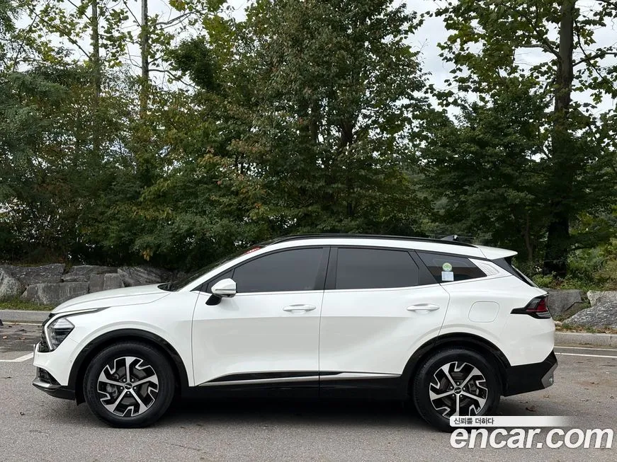 Kia Sportage — фото 5