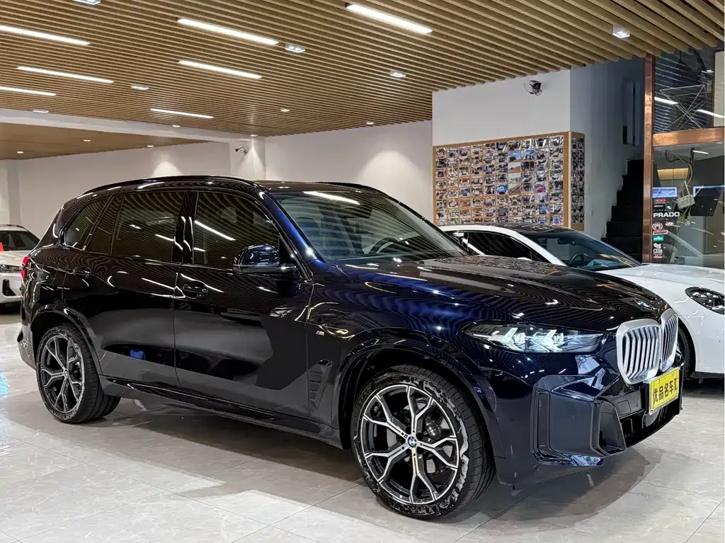 BMW X5 — фото 10