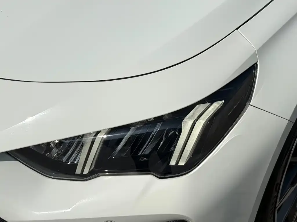 GAC Motor Shadow Leopard — фото 2