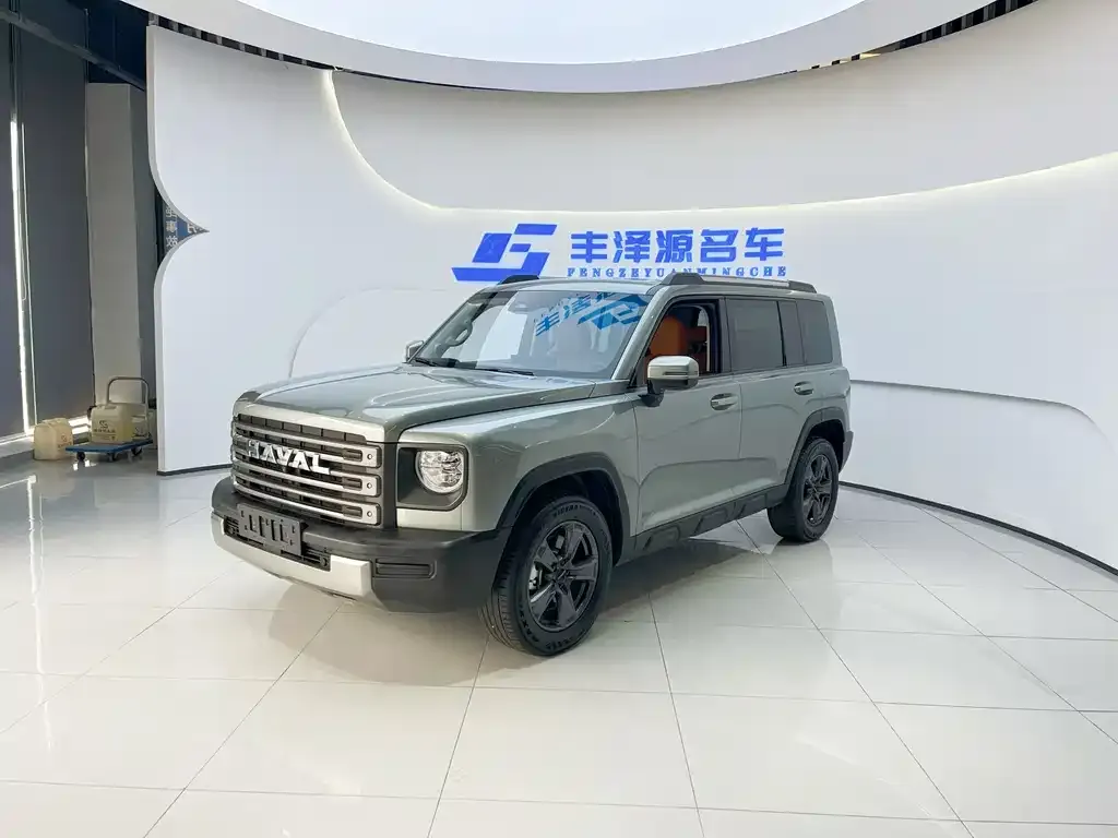 Haval Menglong New Energy — фото 1