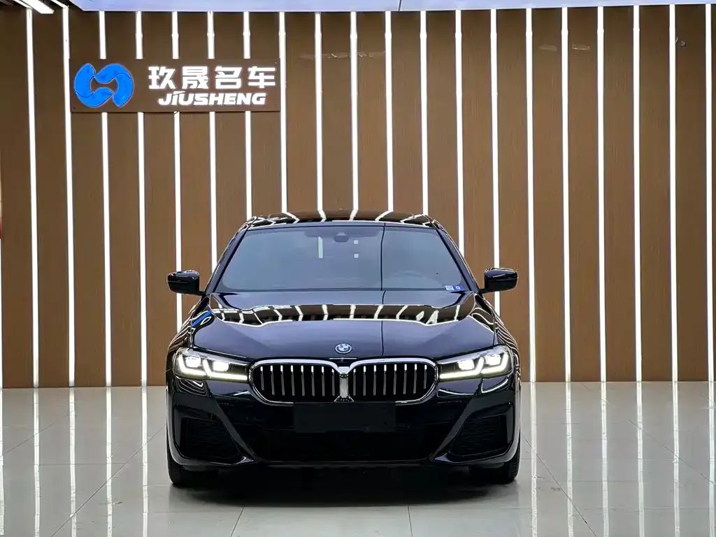 BMW 5 Series New Energy — фото 2