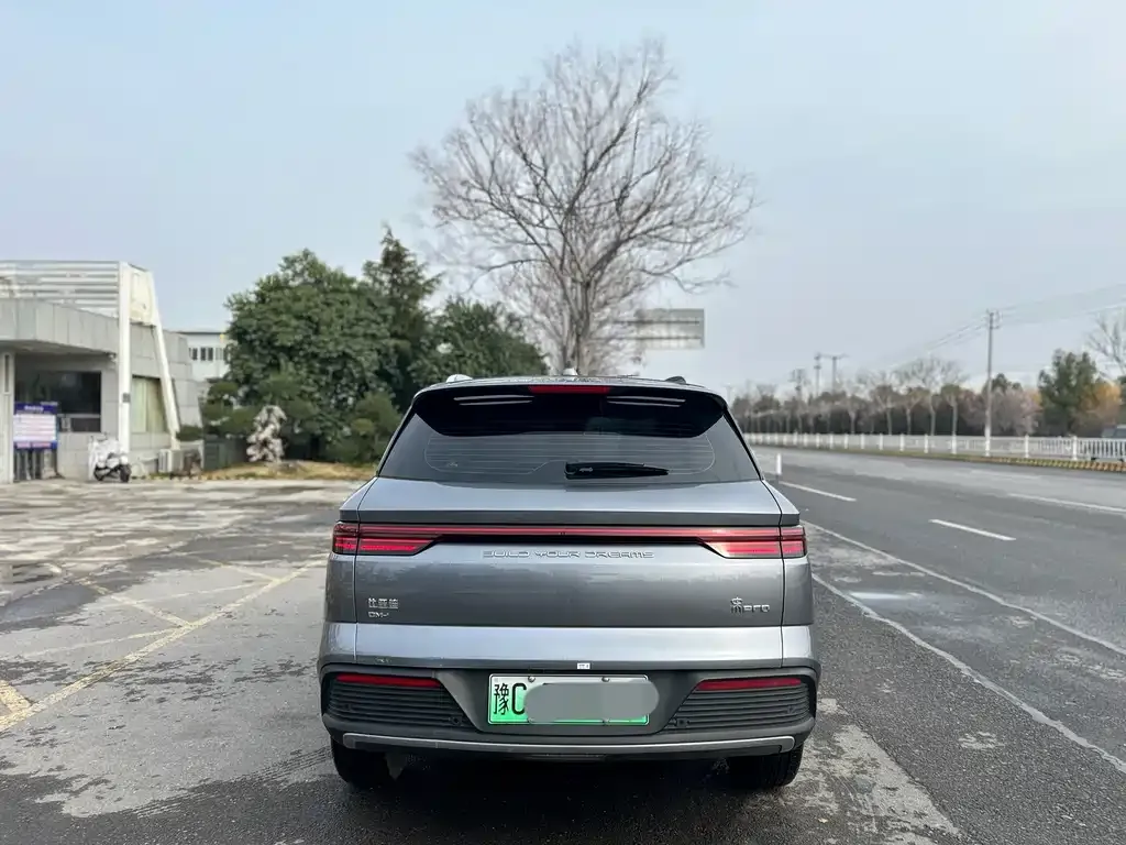 BYD Pro New Energy — фото 2