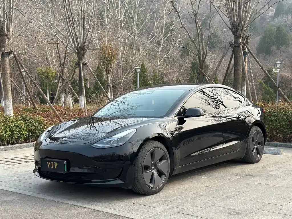 Tesla Model 3 — фото 1