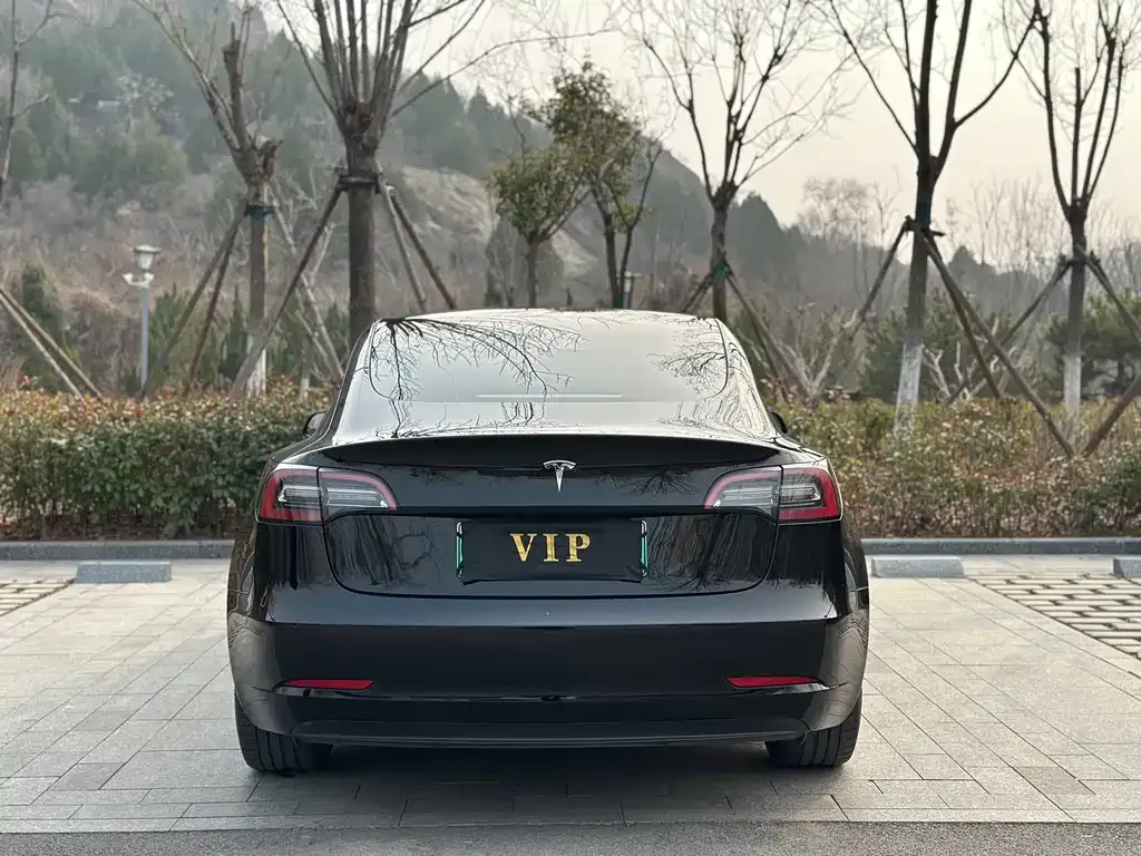 Tesla Model 3 — фото 2