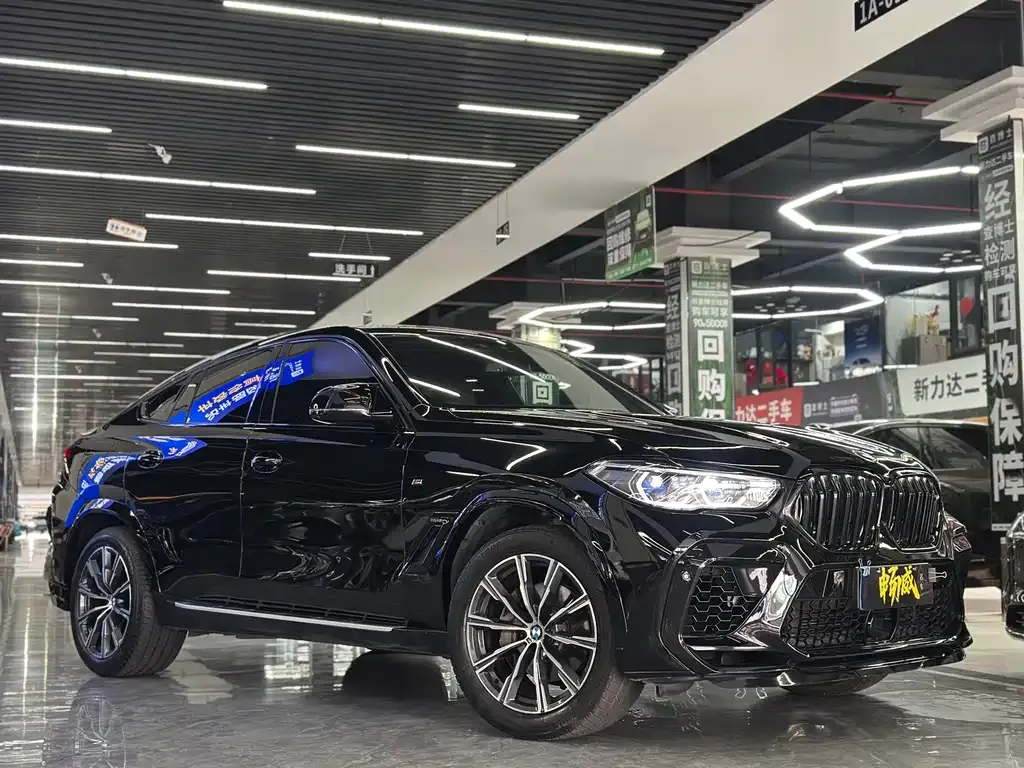 BMW X6 — фото 6