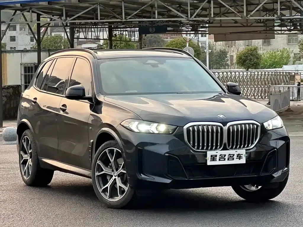 BMW X5 — фото 10