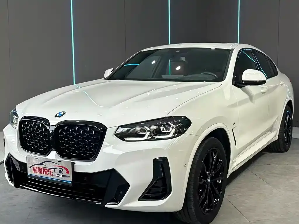 BMW X4 — фото 1
