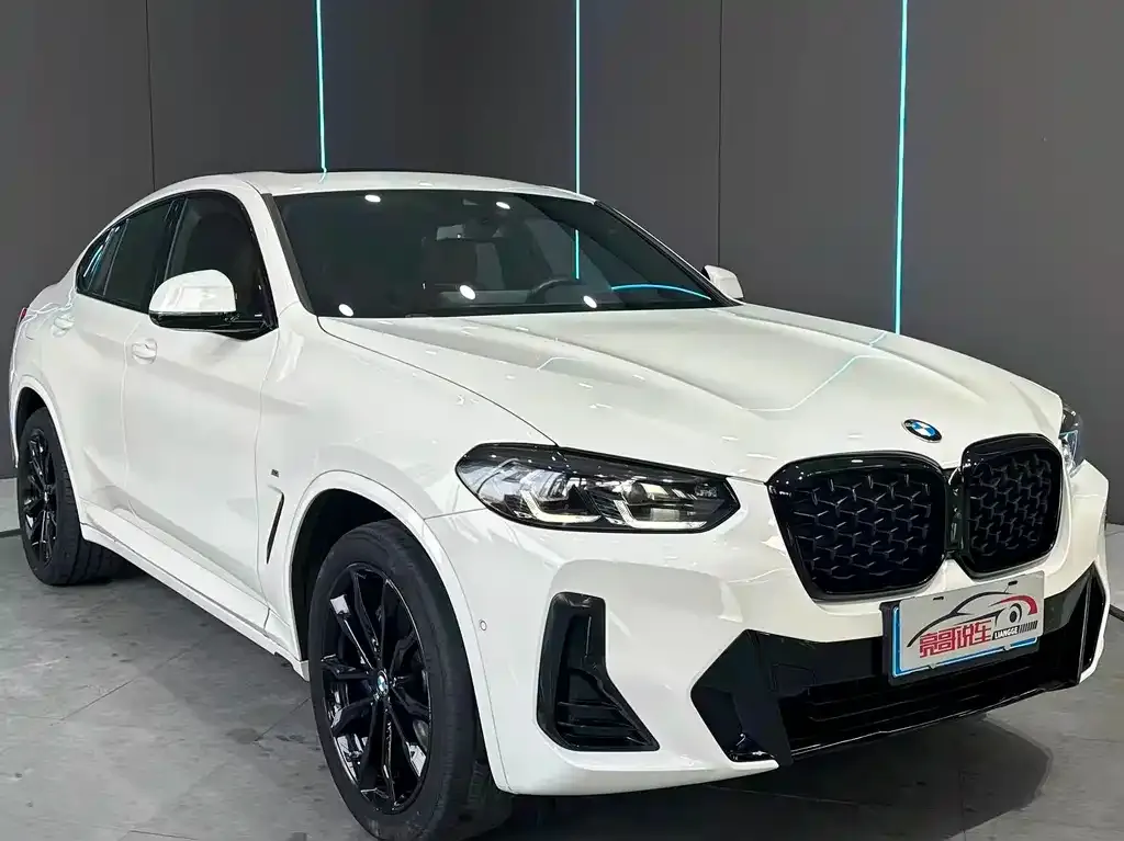 BMW X4 — фото 8