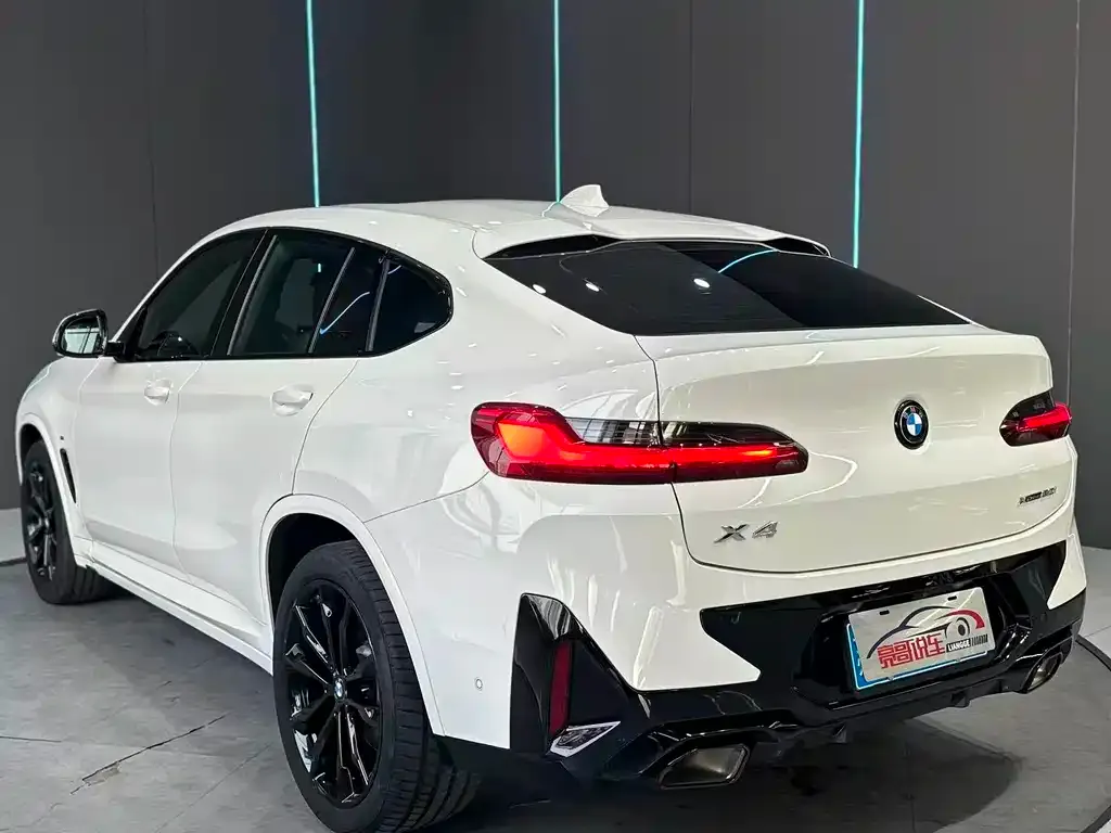 BMW X4 — фото 9