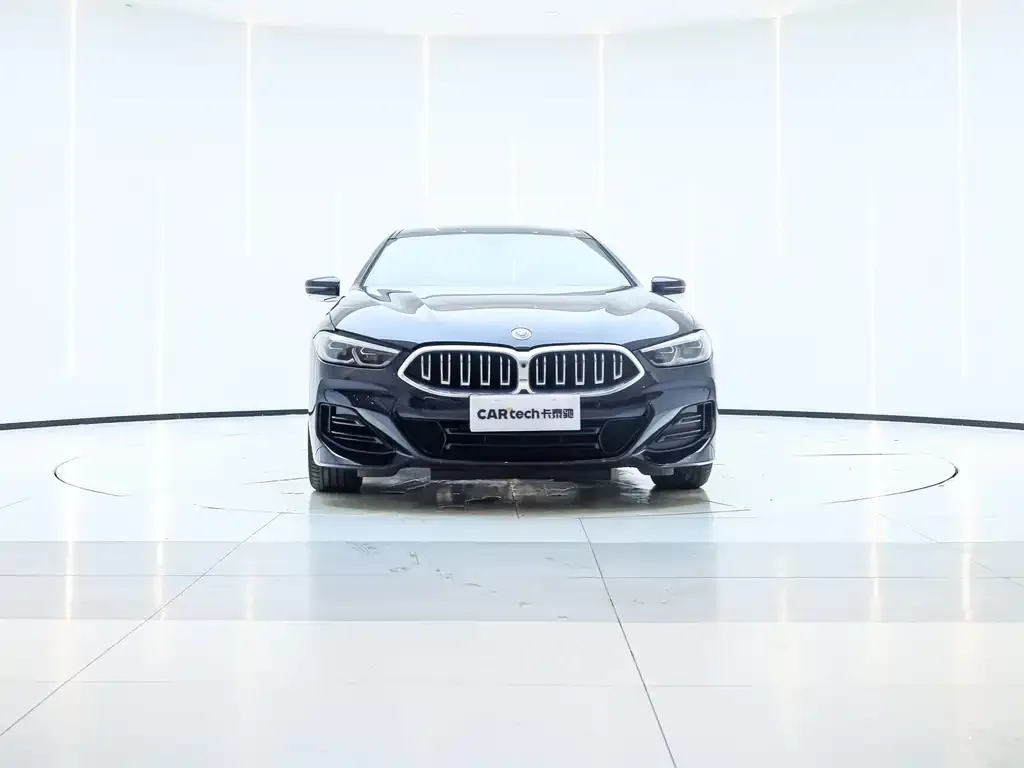 BMW 8 Series — фото 8