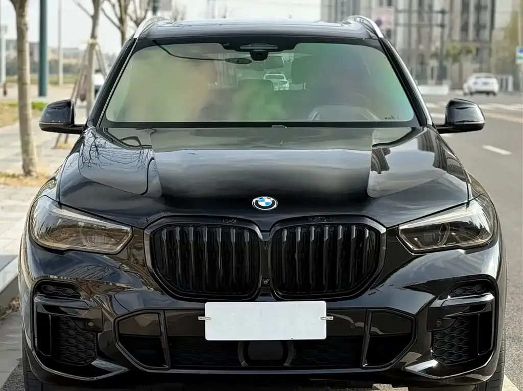 BMW X5 — фото 4