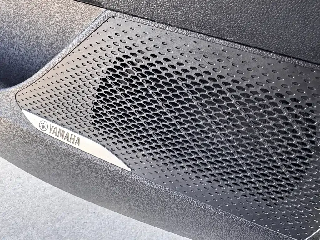 MG MG5 Scorpio — фото 9