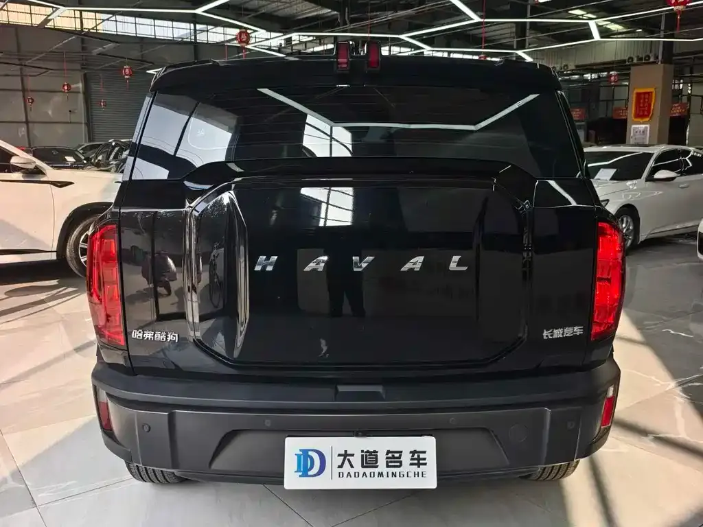 Haval Cool Dog — фото 8