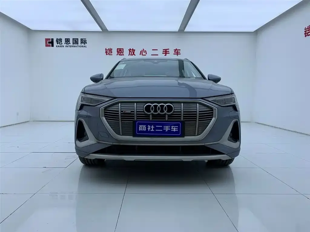 Audi e-tron — фото 2