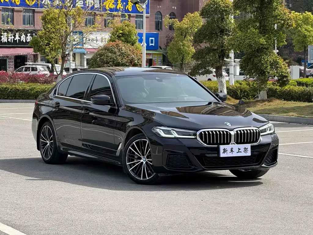 BMW 5 Series — фото 5