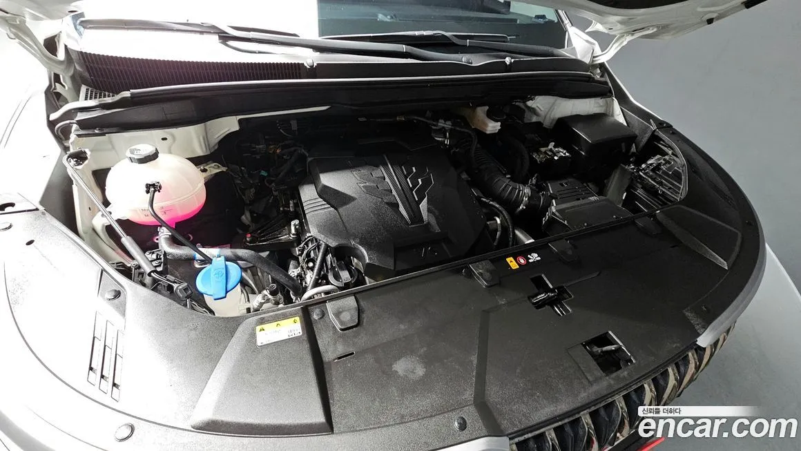 Kia Carnival — фото 10